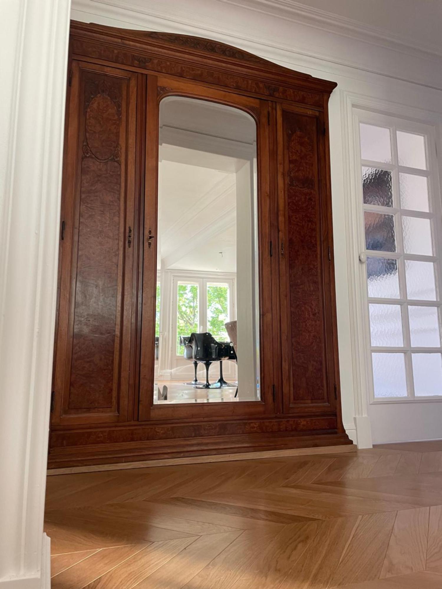 Apparemment Niche Dans Les Arbres